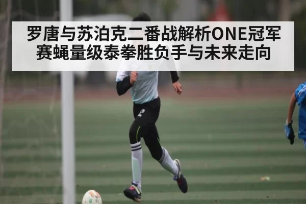 罗唐与苏泊克二番战解析ONE冠军赛蝇量级泰拳胜负手与未来走向